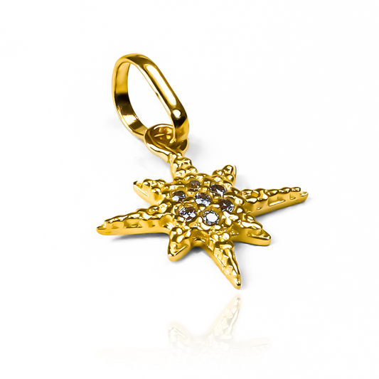 Descubre la elegancia y la sofisticación en nuestro dije Estrella centro de cristales JT. Confeccionado en oro 18K, este diseño de Joyería Caracas es una pieza exclusiva y de alta calidad. Con garantía de por vida, es la elección perfecta para un estilo de vida lujoso y duradero.