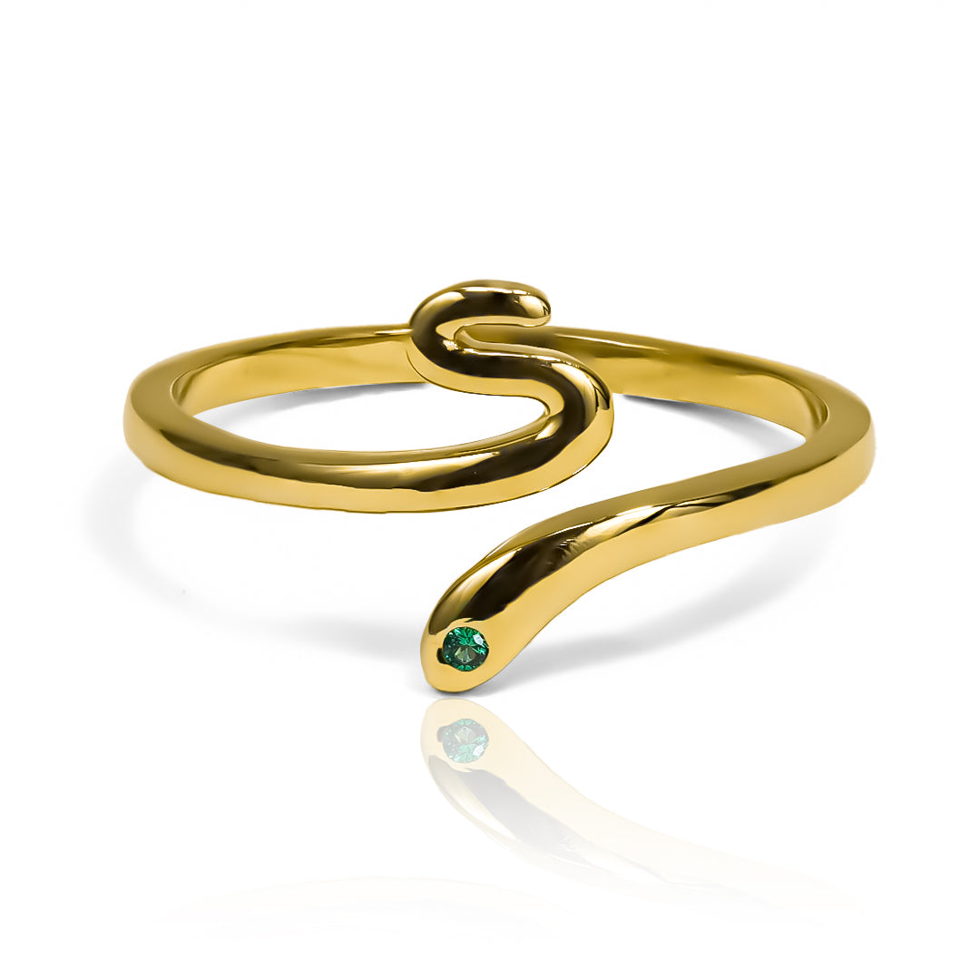 Anillo smooth snake